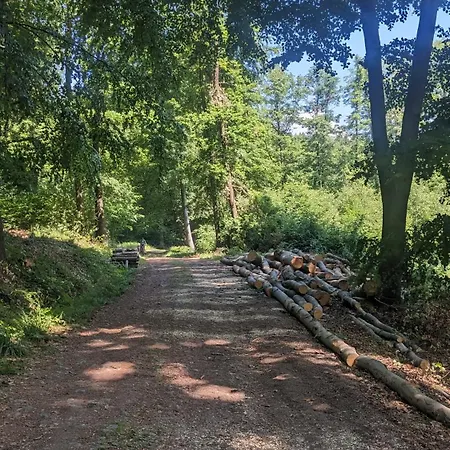 Apartament&spa Lis&las