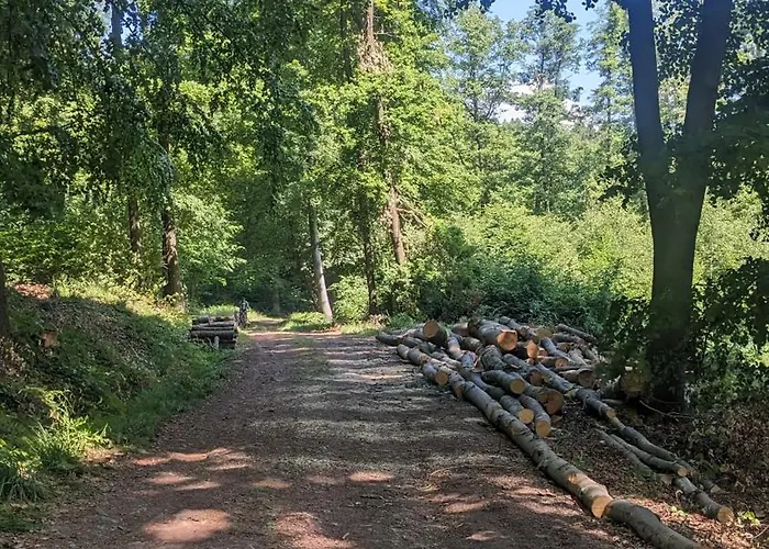 Apartament&spa Lis&las